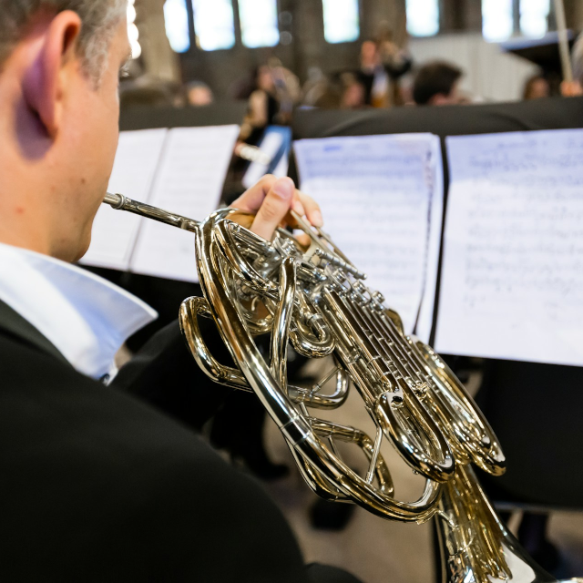 alle orkesten ensemble hoorn