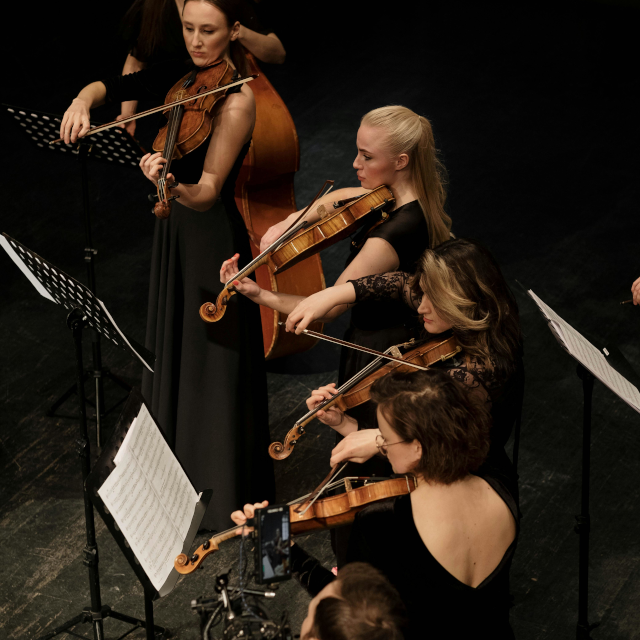 alle orkesten strijk ensemble